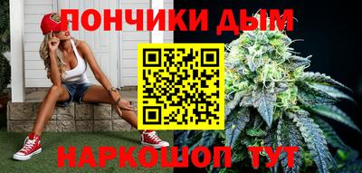 МДПВ Обь