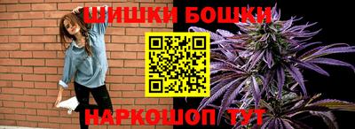 МДПВ Обь