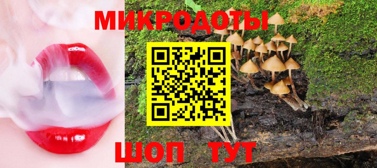 Будённовск  цены   Псилоцибиновые грибы Cubensis  Вход с VPN  Галлюциногенные грибы мицелий 